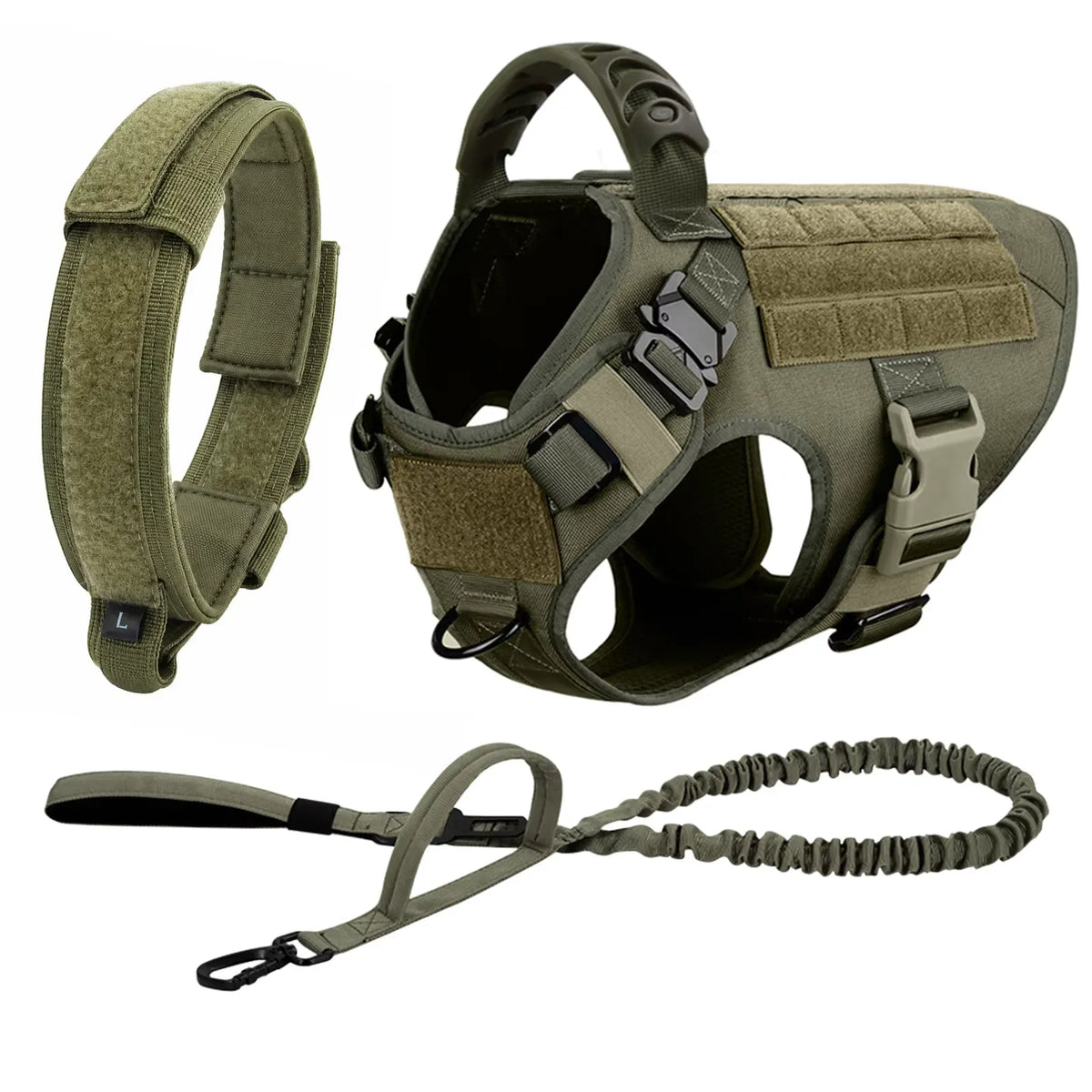Large Dog Harness and Leash Set