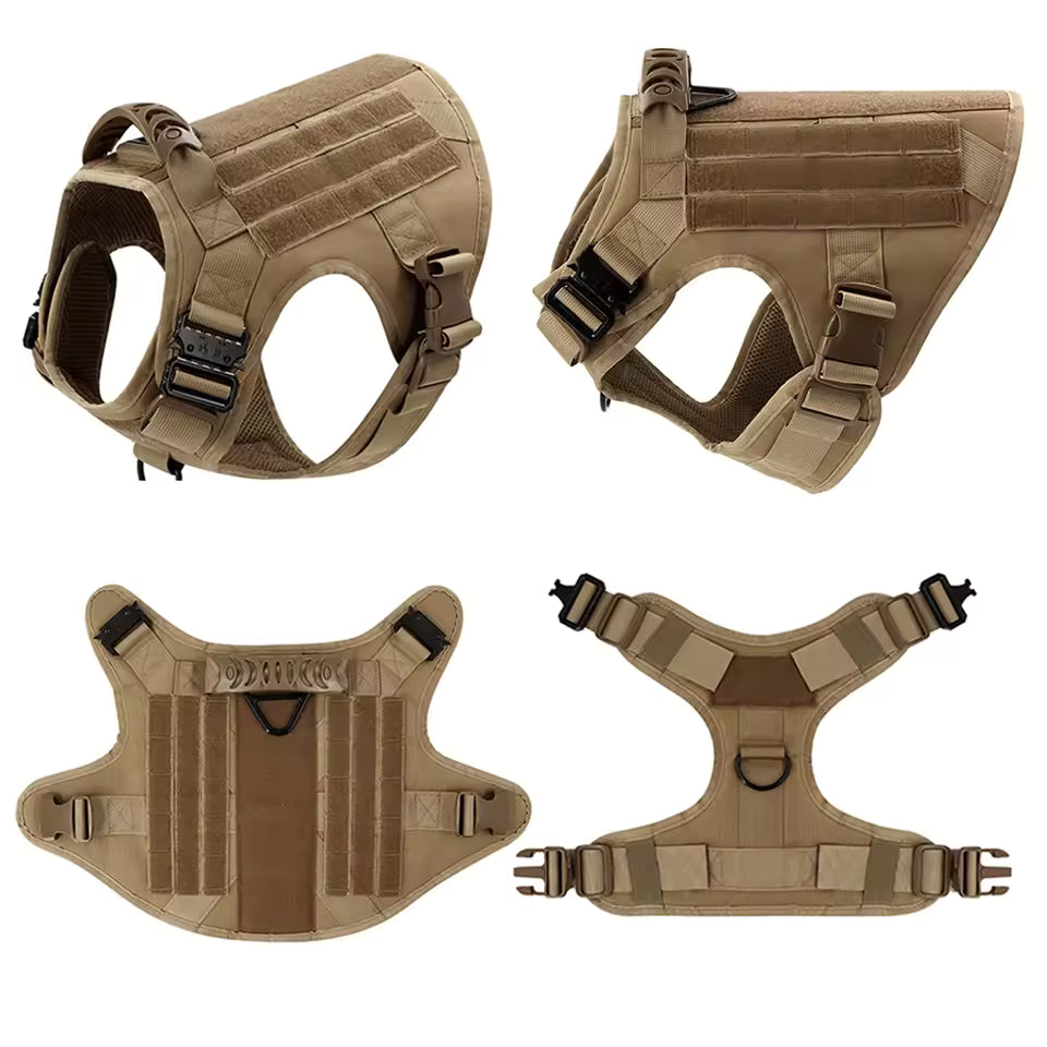 Large Dog Harness and Leash Set