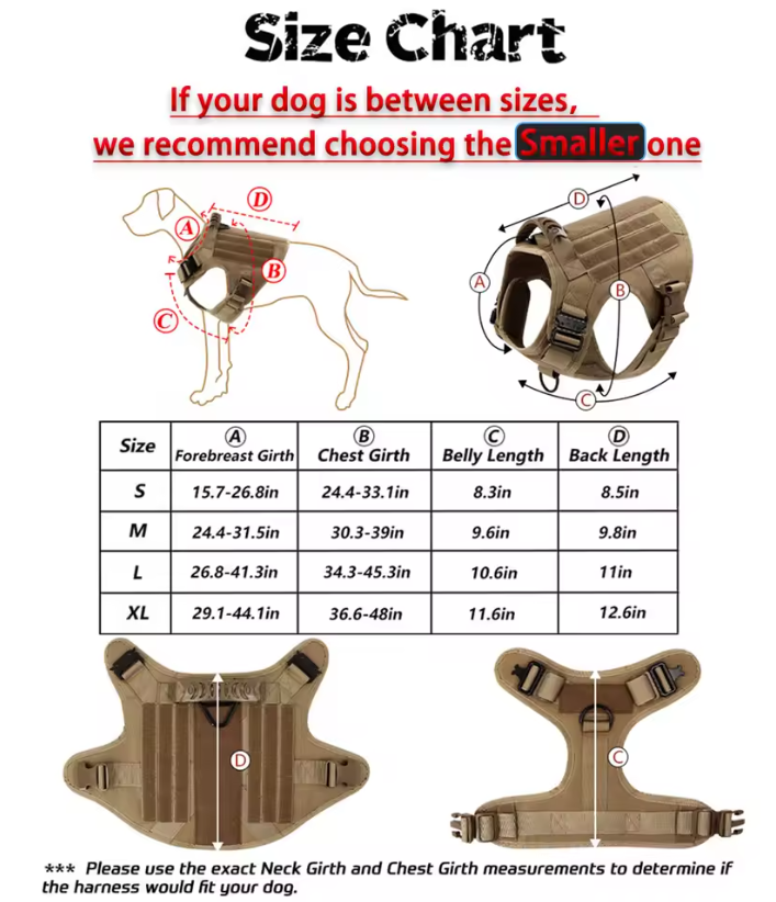 Large Dog Harness and Leash Set