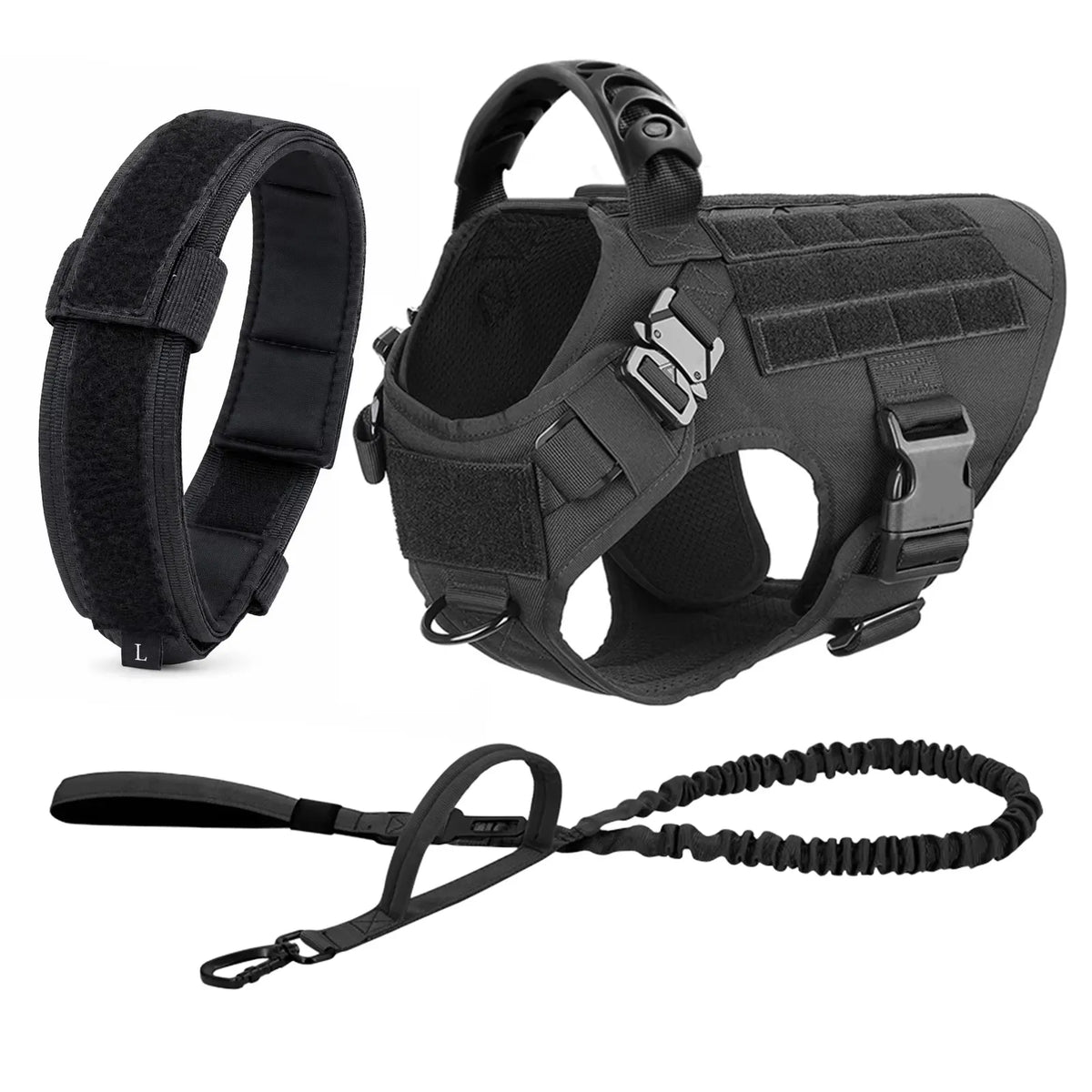 Large Dog Harness and Leash Set