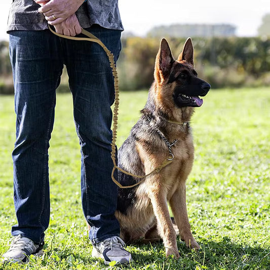 Heavy Duty Tactical Dog Leash